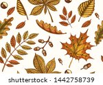 autumn seamless pattern with ... | Shutterstock .eps vector #1442758739