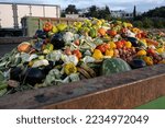 Small photo of Bio Waste of Expired Vegetables in a huge container, Organic mix in a rubbish bin. Heap of Compost from vegetables or food for animals.