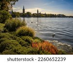 Beautiful autumnal colors at the banks of river Spree in front of the skyline of Berlin-Köpenick in early morning light