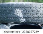 Small photo of White paint splash from a crashed paintball on an old car tire with a zigzag tread pattern