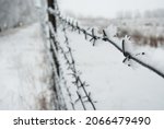 Barbed Wire Fence Covered With...