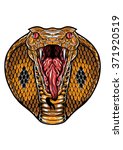 A King Cobra Snake Head With...