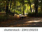 Autumn alley in the park with a bench.