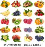 fruit on a white background | Shutterstock . vector #1018313863