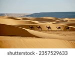 Small photo of yellow sand dunes in the desert of Mauritania, and a caravan of camels suddenly walking through