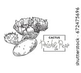 Prickly Pear Cactus Flower  ...