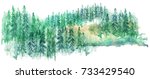 Watercolor Group Of Trees   Fir ...
