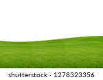 Green hill of grass field isolated on white background with clipping path. 