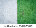 Top view of green grass texture with concrete floor background. Green lawn pattern and texture with cement sidewalk background. Close-up.