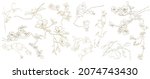 floral branch. hand drawn line... | Shutterstock .eps vector #2074743430