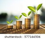  coins and money growing plant for finance and banking, saving money or interest increasing concept