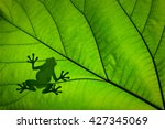 Silhouette Of A Frog Across A...