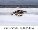 Small photo of Frozen Majesty: Seafront Rocks Blanketed in Snow Along the Winter. Seaside Stillness: Snow-Covered Boulders Creating a Winter Coastal Scene. Seafront Rocks Amidst Winter's Gracious Blanket. Latvia.