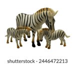 Zebra mom with two cubs on a...