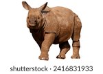 Small photo of Javan Rhino critically endangered animal includes Red List of Threatened Species .The Javan rhinoceros, also known as the Javan rhino, Sunda rhinoceros or lesser one-horned rhinoceros, is a very rare
