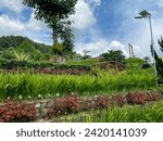 Small photo of The memorable moment of watu blencong park in kedungbanteng, Central Java, Indonesia. It was taken on february 1, 2024 by a professional. It's a memorable activity with full of happiness