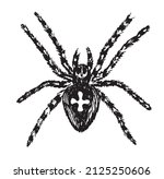 spider sketch arachnid fear.... | Shutterstock .eps vector #2125250606