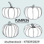 vector single sketch pumpkin.... | Shutterstock .eps vector #478392829