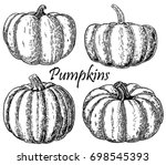 Pumpkins Set. Vector Hand Drawn ...