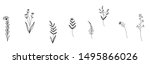 collection forest fern... | Shutterstock .eps vector #1495866026