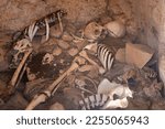 Small photo of Selective focus. Skeleton is in the crypt. Old human skeleton in ancient tomb at archaeological excavation. The skeleton's leg is in the foreground.