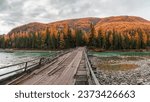 Small photo of Dangerous dilapidated wooden road bridge over the Argut mountain river. Autumn panoramic view of the shallow river, forest and a long old wooden bridge. Remote region Altai Republic, Russia.