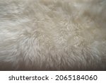 Small photo of white sheepskin texture with soft hairs, natural fur for the designer, the concept of processing, production of furrier products, stress relief, psychological stress