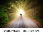 Artistic Render of a Girl Walking on a Road in the Enchanted Rainforest with light shinning. Road located in Tofino, Vancouver Island, BC, Canada.