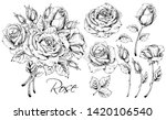 Detailed Hand Drawn Flowers Set ...