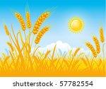 Wheat Field Scene