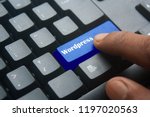 blue Wordpress keyboard button