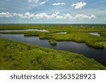 Aerial view of Florida wetlands with green vegetation between ocean water inlets. Natural habitat of many tropical species