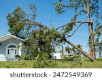 Hurricane damage to a house roof in Florida. Fallen down big tree after tropical storm winds. Consequences of natural disaster