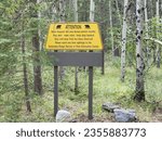 Bear Warning Sign In Kananaskis Village, Alberta, Canada