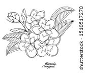 plumerie or frangipany exotic... | Shutterstock .eps vector #1510517270