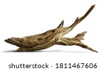 Driftwood  Aged Branch Isolated ...