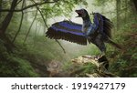 Archaeopteryx  Bird Like...