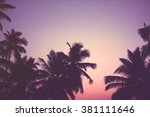 Silhouette of palm trees at sunrise with vintage filter, Instagram look