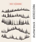 collection of pine forest... | Shutterstock .eps vector #603021086