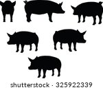 Vector Image  Pig Silhouette ...