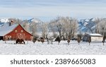 Small photo of Winter on a ranch in Bozeman, Montana. Christmas wreaths on fence.