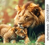 Small photo of lion cub,rare photo of lioness and son