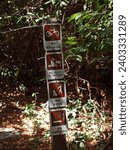 Small photo of Everglades National Park, Florida, United States - May 4, 2013: Sign forbidding some activities in the Gumbo Limbo Trail of the Royal Palma Visitor Center.