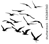 Vector Silhouettes Of Flying...