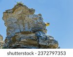 Small photo of Hoburgsgubben (old man Hoburg) is a famous sea stack in southern Gotland island. When standing at a certain angle, the stack resembles a geezer's head.