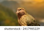 Small photo of The Kakapo (Strigops habroptilus) is a nocturnal, flightless parrot from New Zealand, known for vibrant plumage. Capturing rare avian beauty.