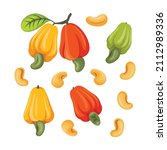 cashew fruits and cashew nuts... | Shutterstock .eps vector #2112989336