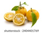 bitter orange on white background