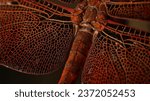 Close up image of red dragonfly on dark background