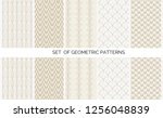 set of absctract geometric... | Shutterstock .eps vector #1256048839